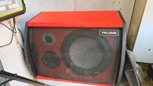 S10 10 Inch Amplified Speaker