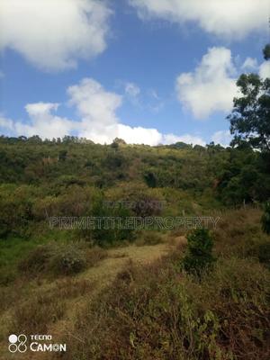 35 Acres Along Mua Road - thumbnail 2