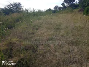15 Acres Along Mua Road