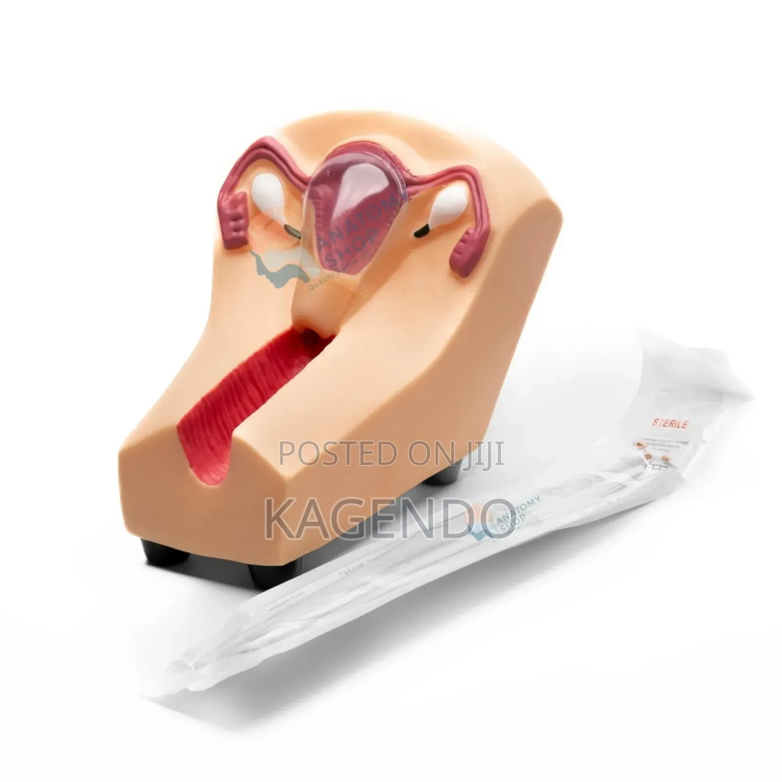 Iucd Training Model – Gynecology Family Planning Education