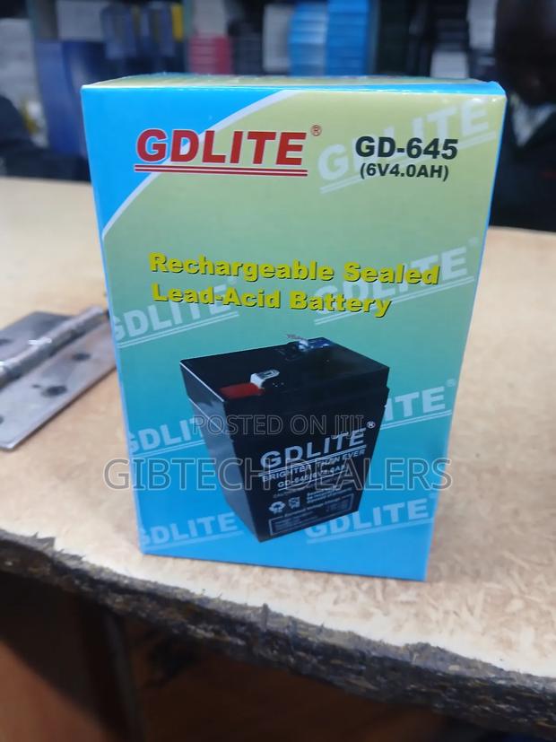 Gdlite 6v 4.0ah Battery