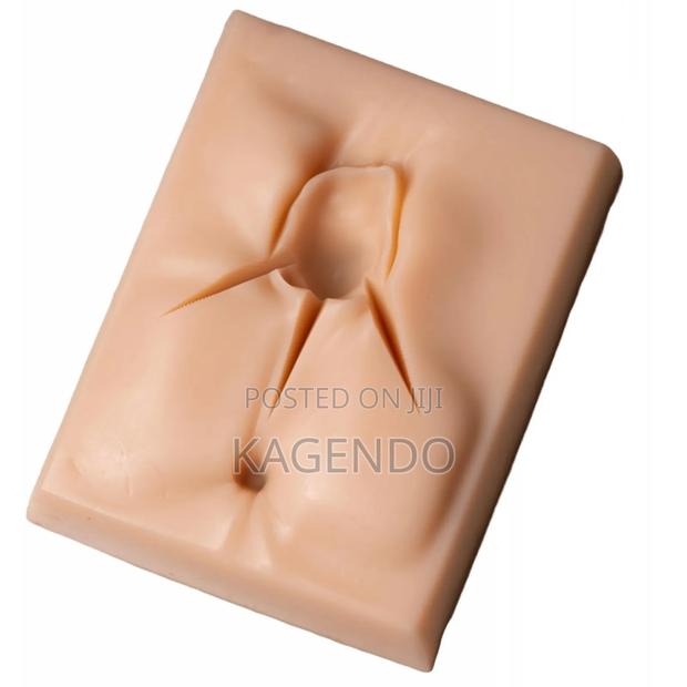 Vulva Suturing Training Simulator – Gynecology Obstetrics Education - main view