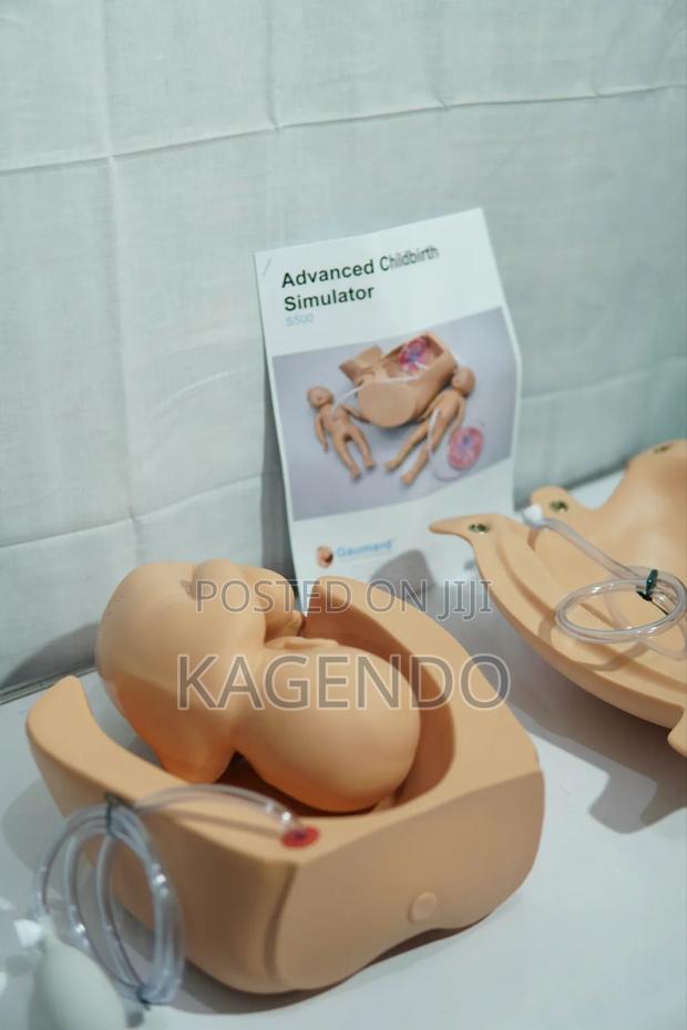 Leopold Maneuvers – Obstetrics Training Model - main view