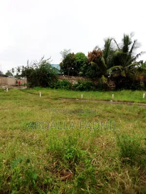 Plot for Sale Best Position for Residental