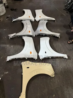 Suzuki Alto Wing/Fenders