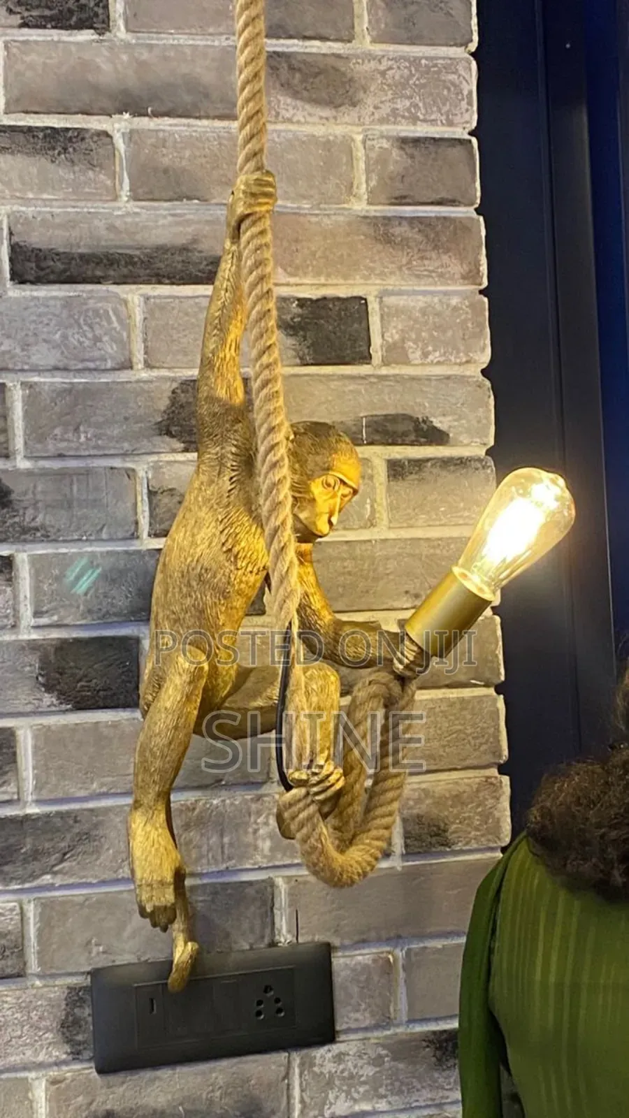 Monkey Hanging Light