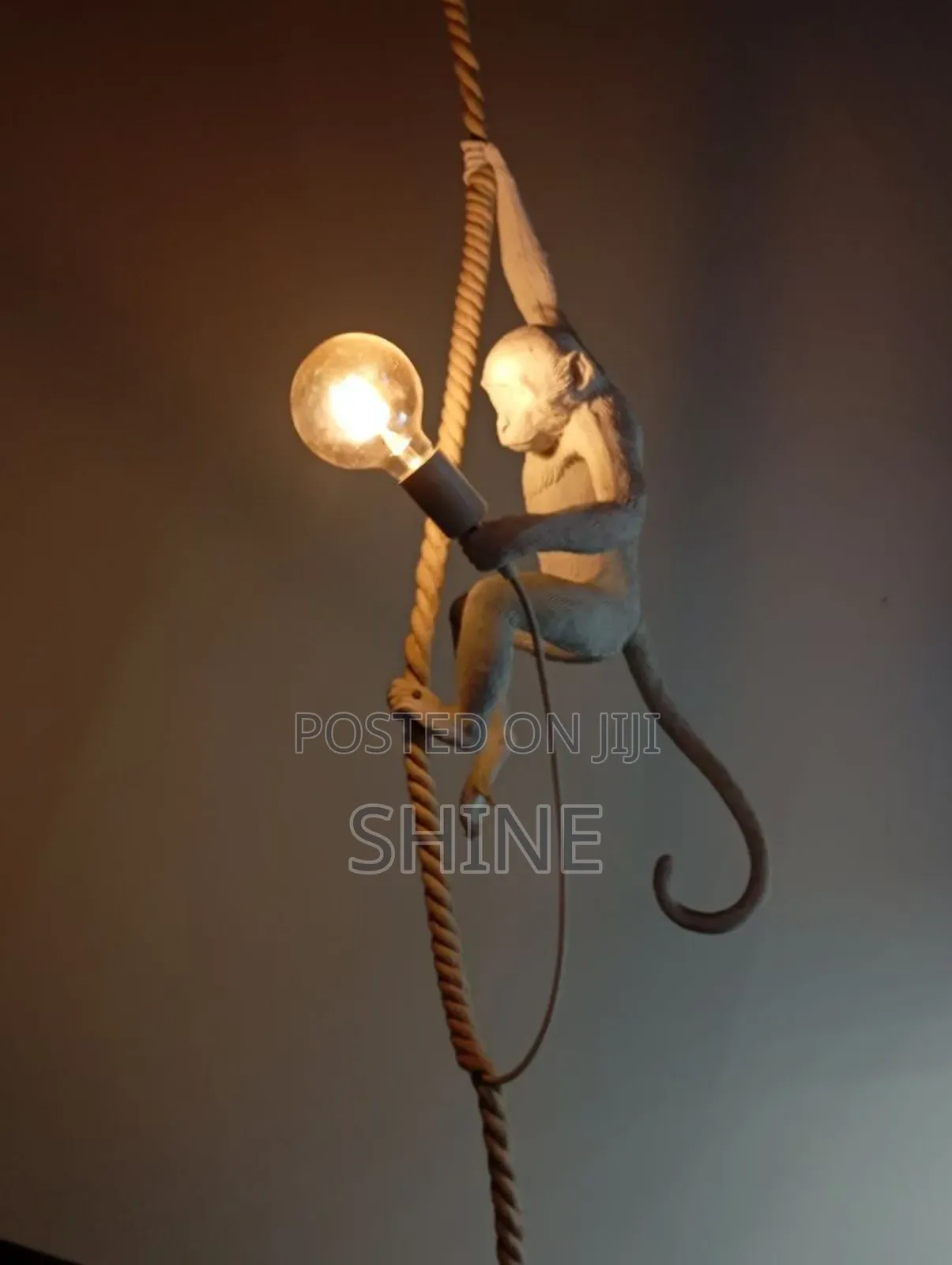 Monkey Hanging Light