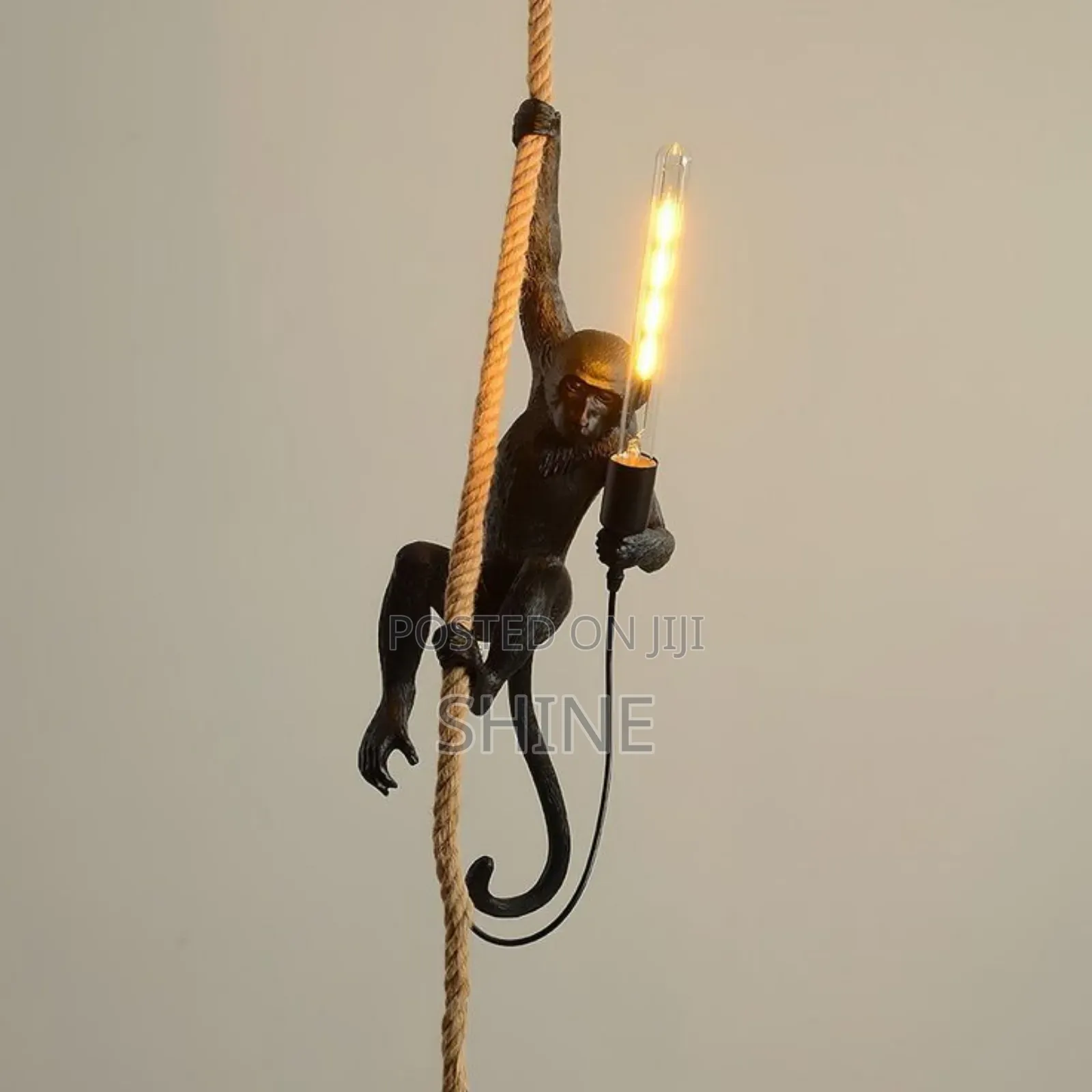 Monkey Hanging Light
