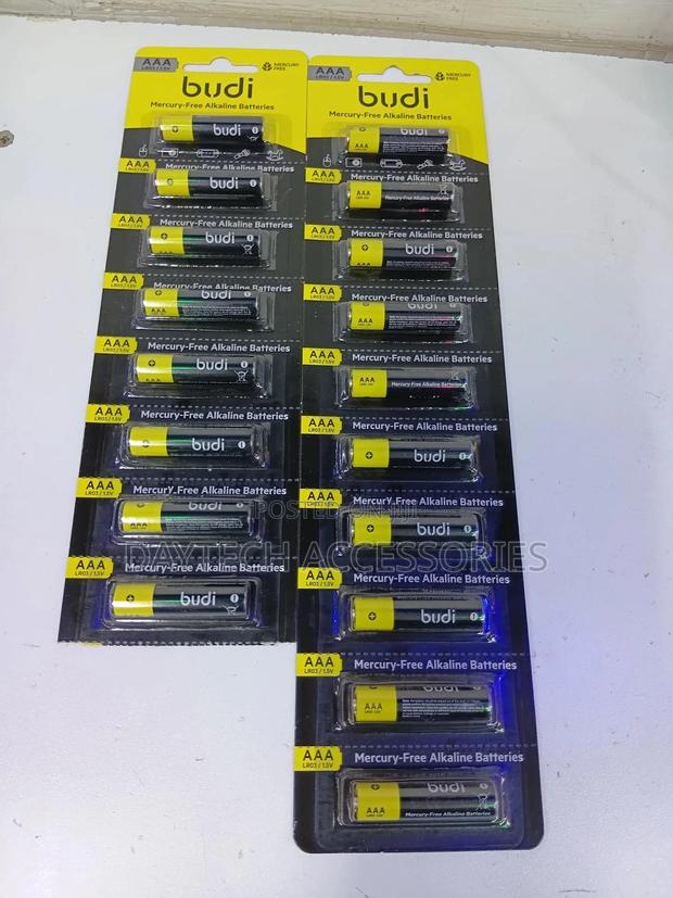 Set of 10pcs Budi Aaa Mercury-Free Alkaline Batteries.