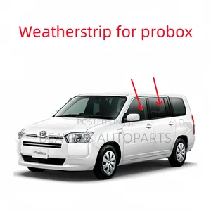 Probox Succeed Door Weather Strip