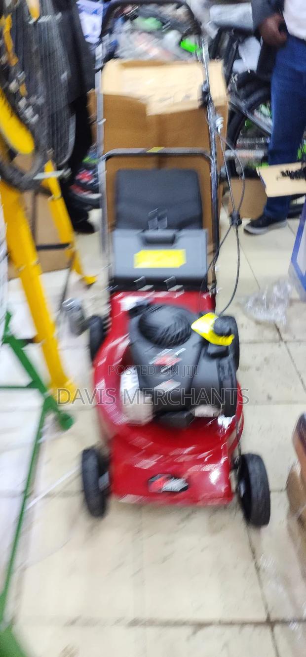 Briggs Lawnmower Machine - main view