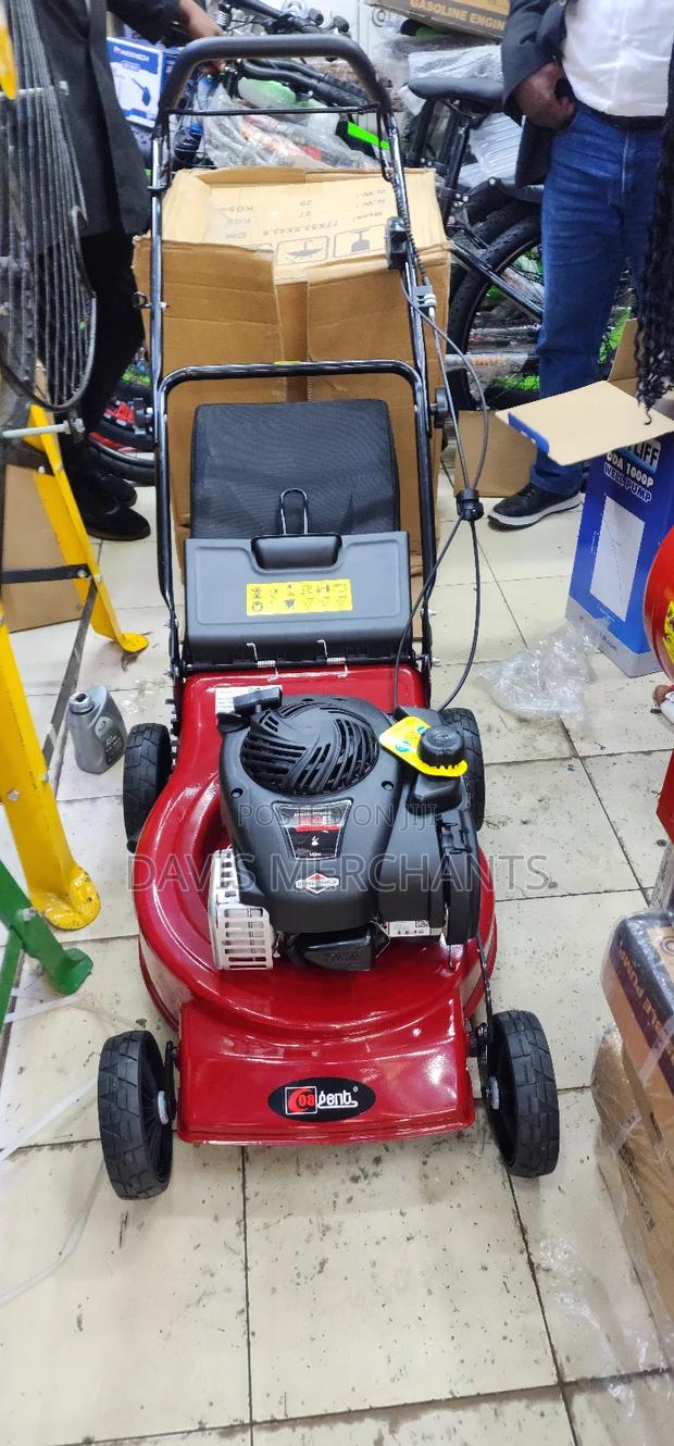 Briggs Lawnmower Machine - thumbnail 3