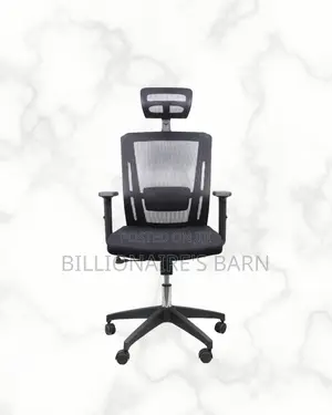 Ergonomic Work Chair — Posture Support, Adjustable Headrest