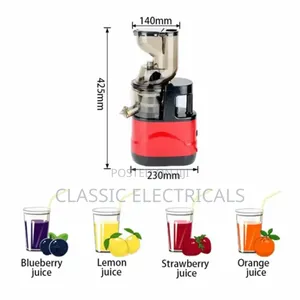Slow Juicer
