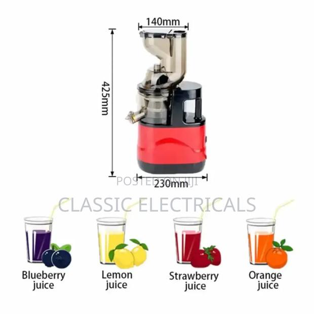 Slow Juicer