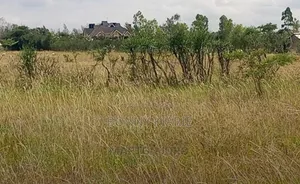 Shamba 1acre Kwa Murage Area