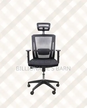 Ergonomic Mesh Task Chair for Work • Smooth Movement, Headrest Support