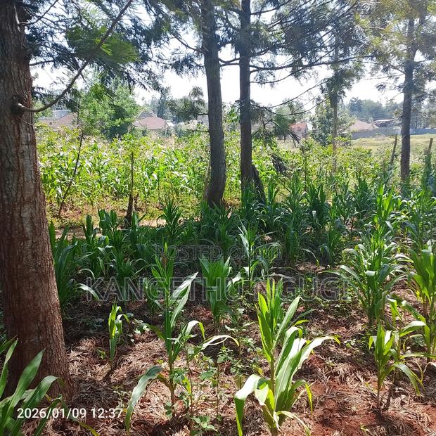 50x100 Plot at Mugumo Estate - thumbnail 2