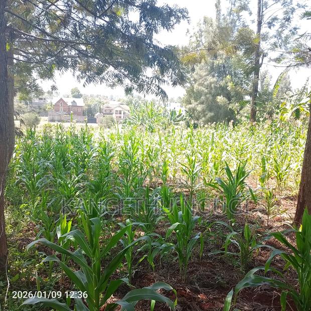 50x100 Plot at Mugumo Estate - thumbnail 5