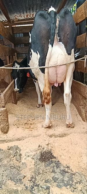 Freshian High Yielder - thumbnail 2