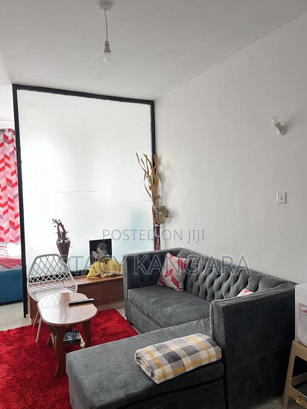 Open Plan 1 Bedroom B B, Tsavo Apartments - main view