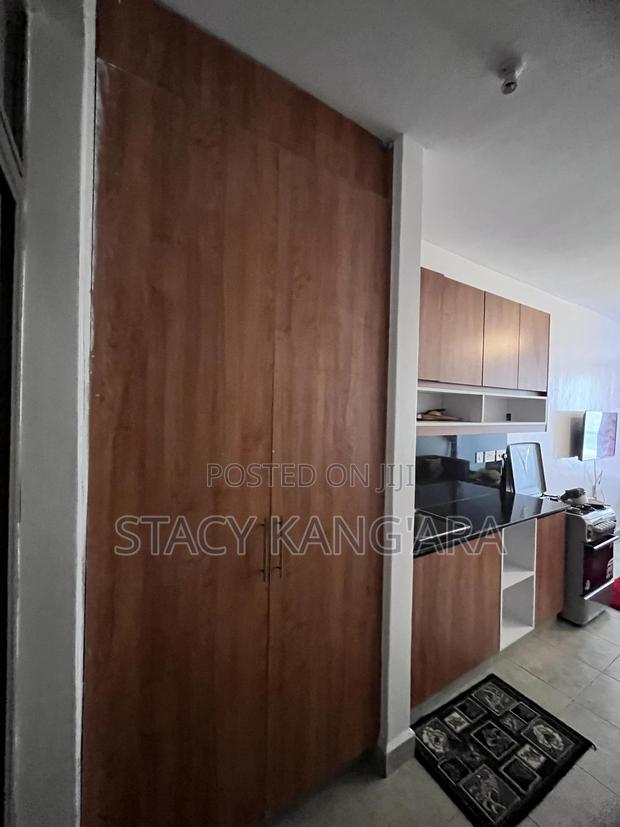 Open Plan 1 Bedroom B B, Tsavo Apartments - thumbnail 2