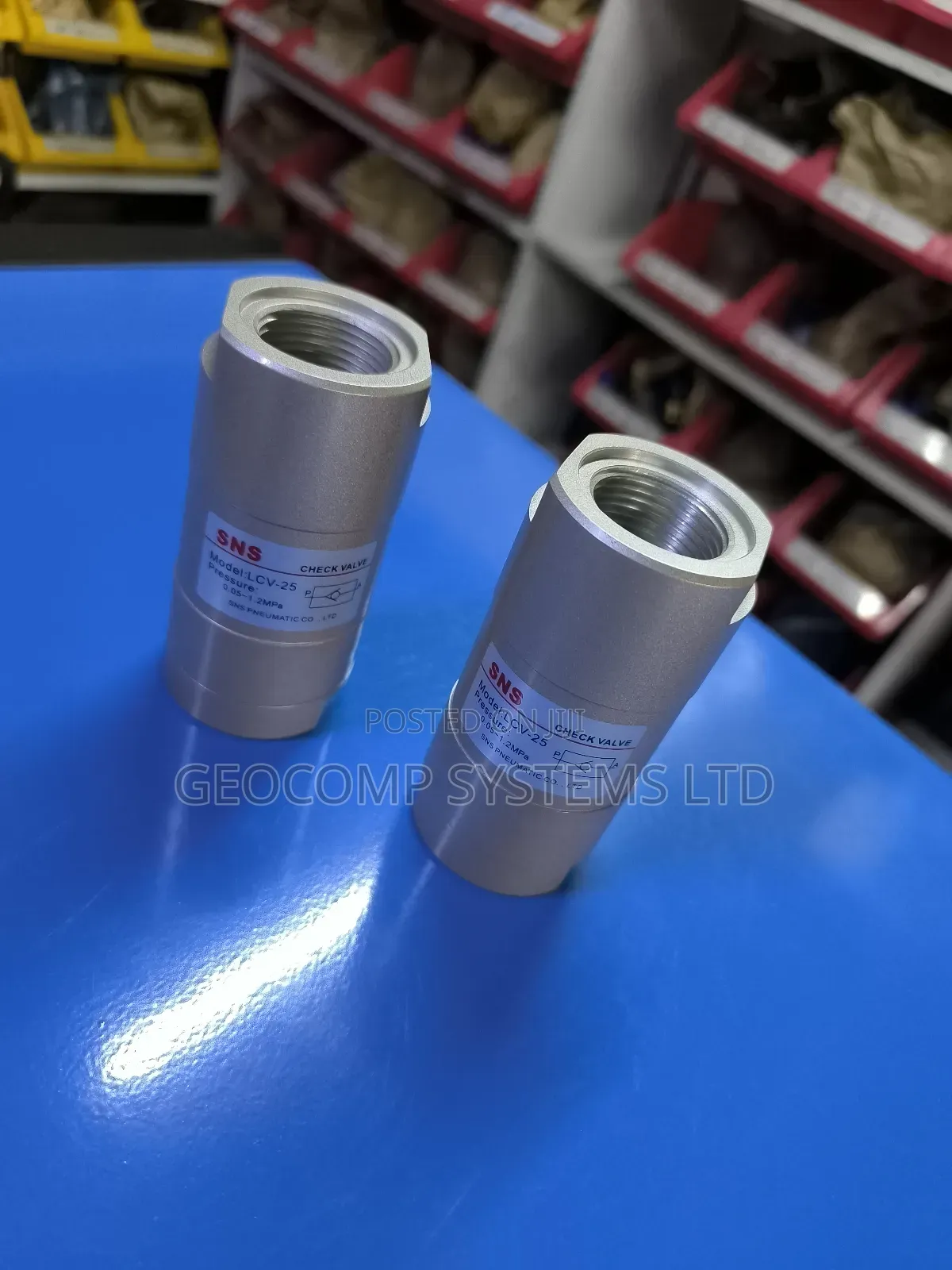 Check Valves 1"