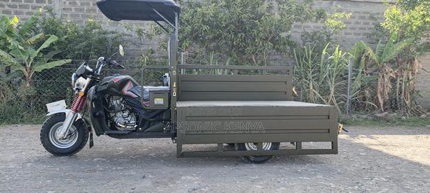 New Apsonic AP250 PRO 2025 Green - thumbnail 3