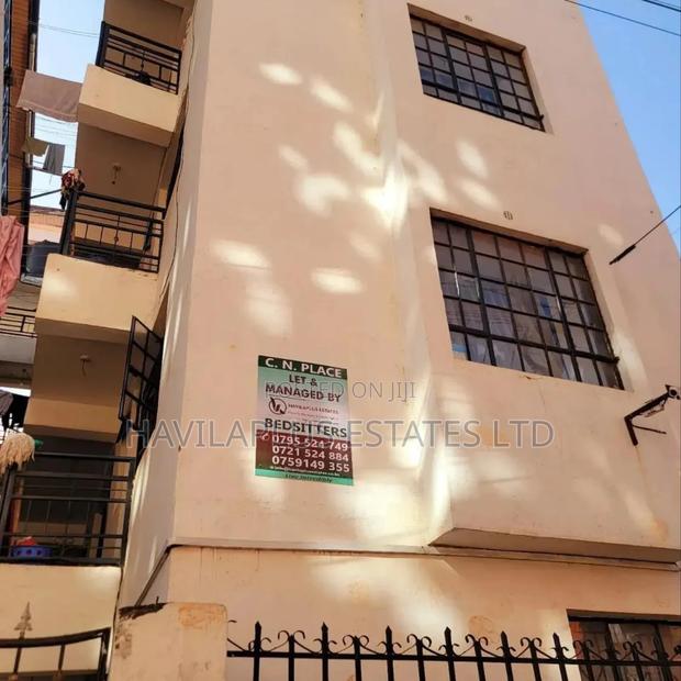 1bdrm Bedsitter in Ruaka for rent - main view