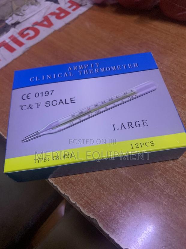 Clinical Thermometer - main view