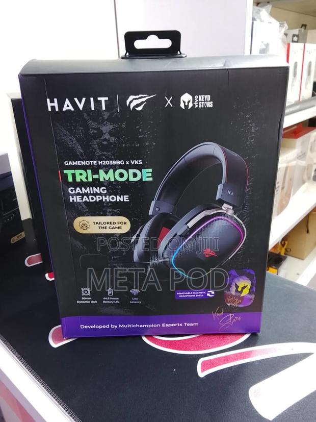 Havit Gamenote H2039bgxvks Tri-Mode Gaming Headphone