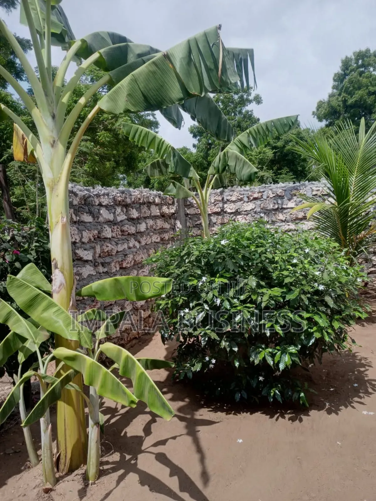 Modern Own Compound 2 Bedroom House on Sale