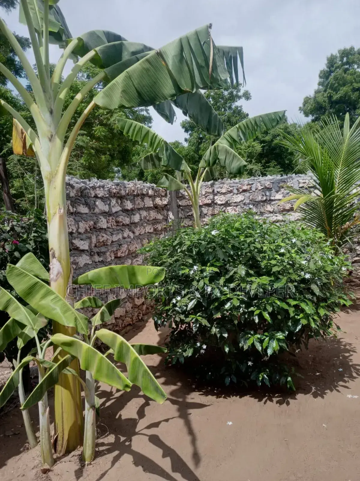 Modern Own Compound 2 Bedroom House on Sale