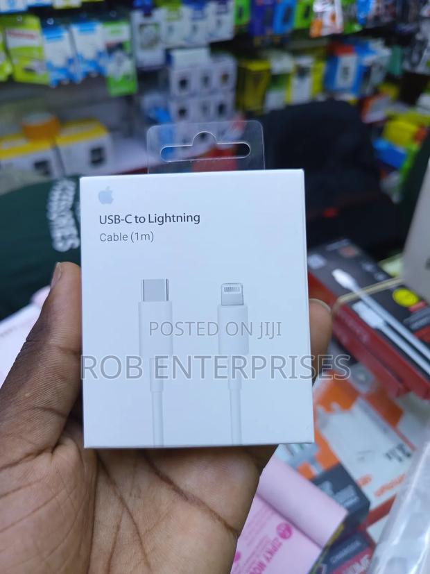 25 Watts iPhone Adapter and Cable - thumbnail 3