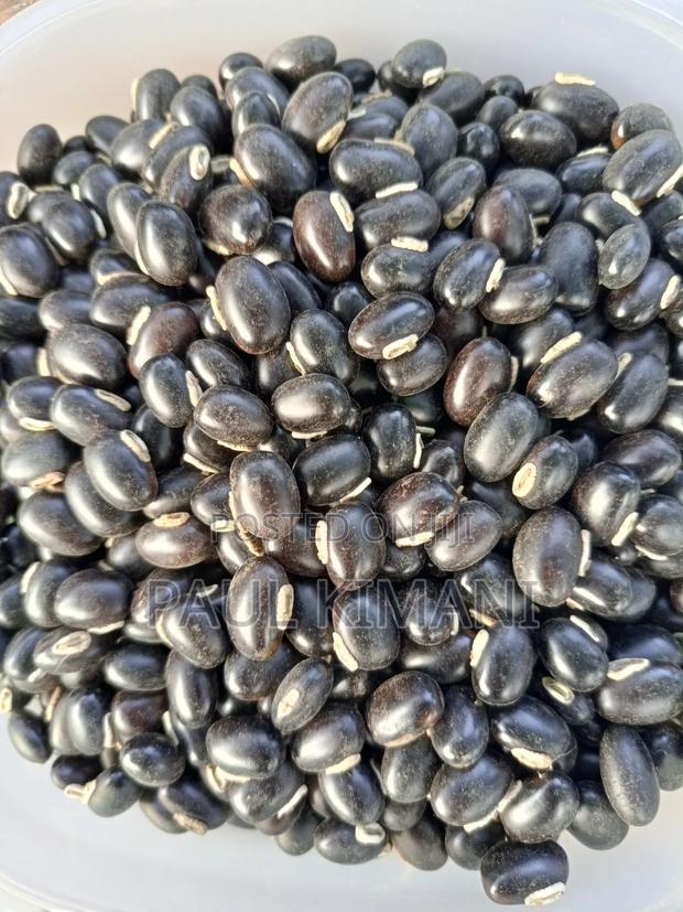 Mucuna Proulin, Velvet Bean Powder/Moringa - thumbnail 2