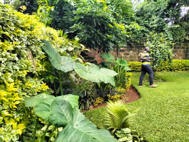 Lavington Prime Land - thumbnail 3