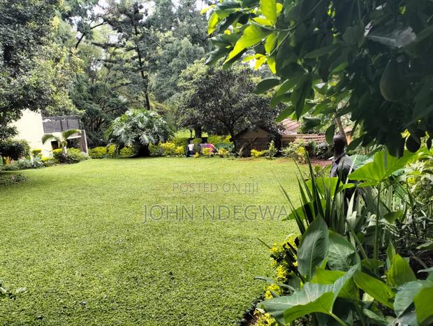 Lavington Prime Land - thumbnail 4