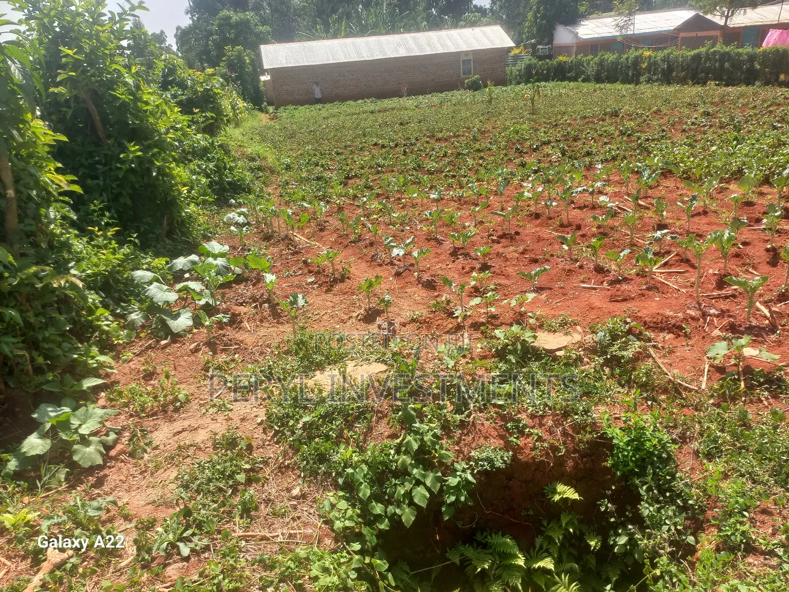 Plot for Sale in Kakamega