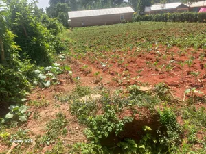 Plot for Sale in Kakamega