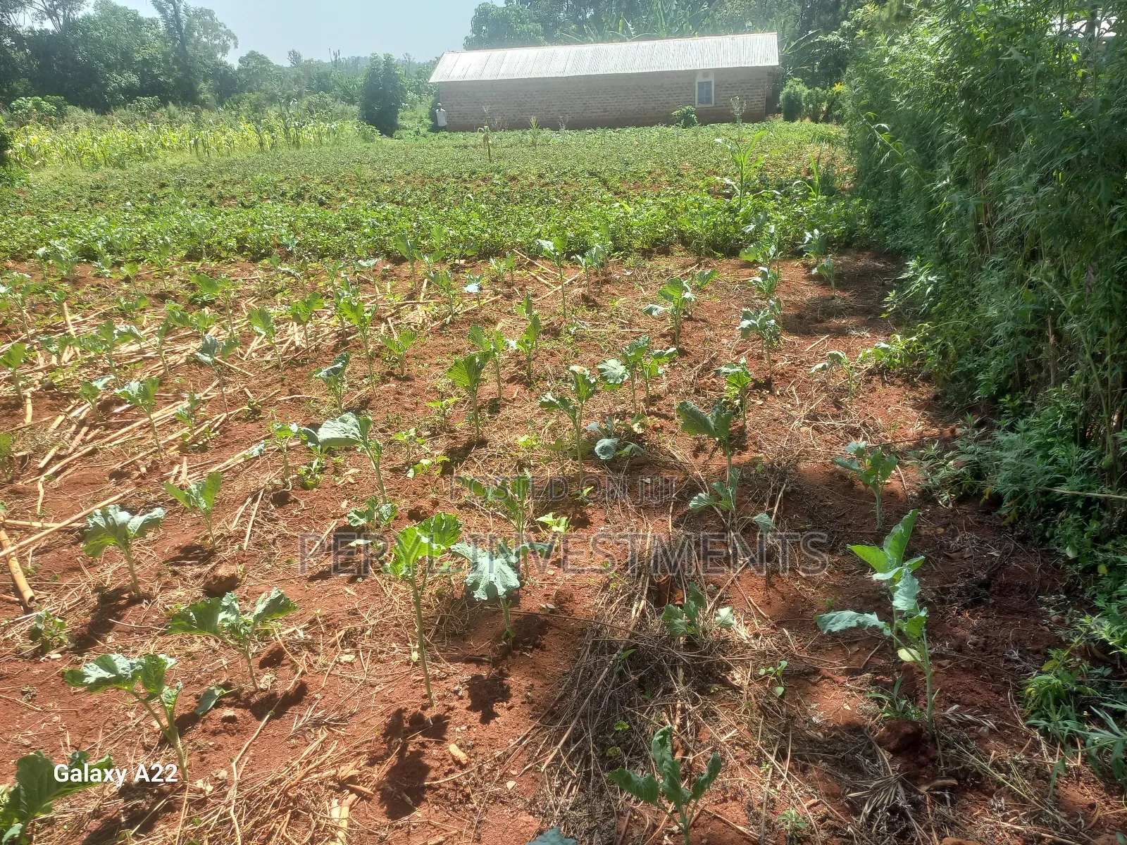 Plot for Sale in Kakamega