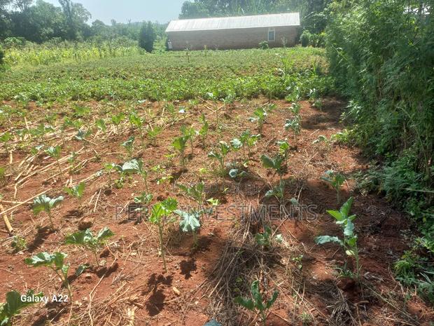 Plot for Sale in Kakamega - thumbnail 7