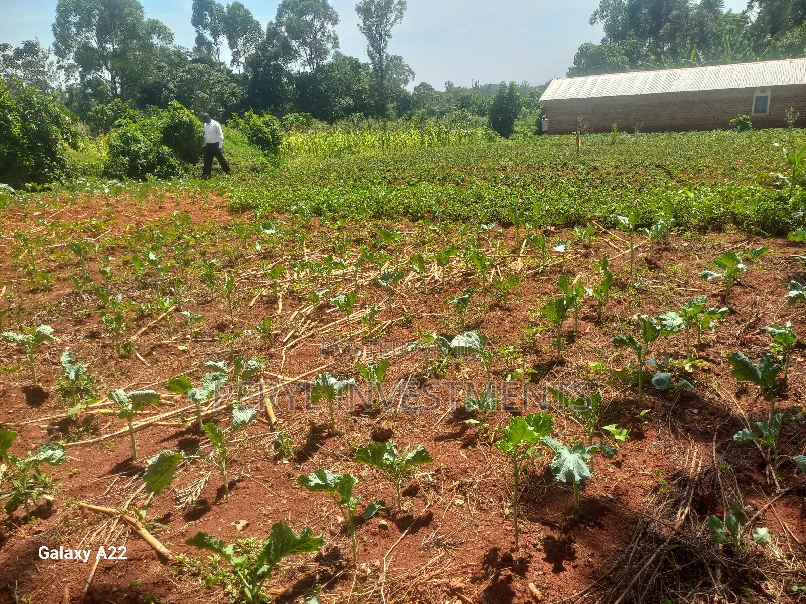 Plot for Sale in Kakamega