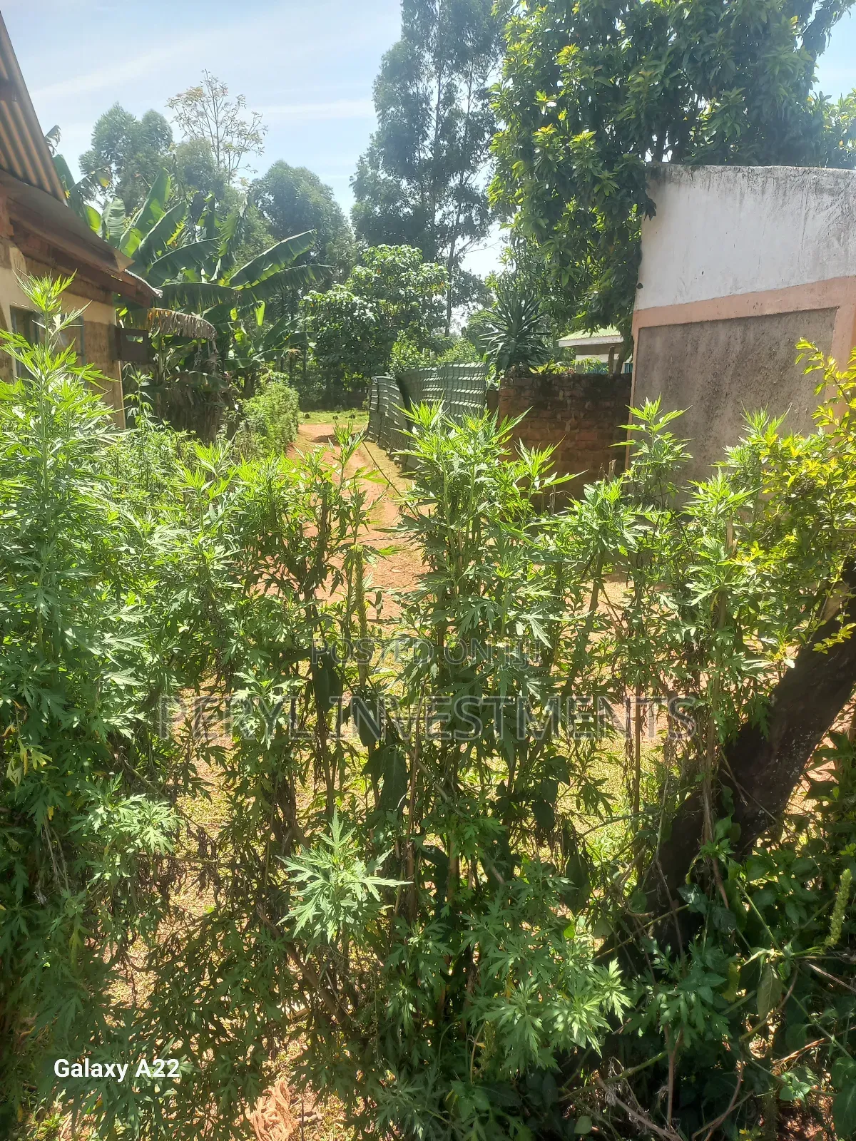 Plot for Sale in Kakamega