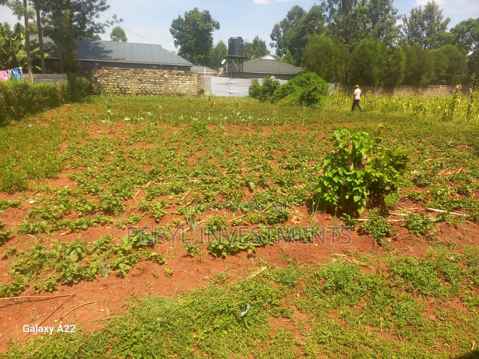 Plot for Sale in Kakamega