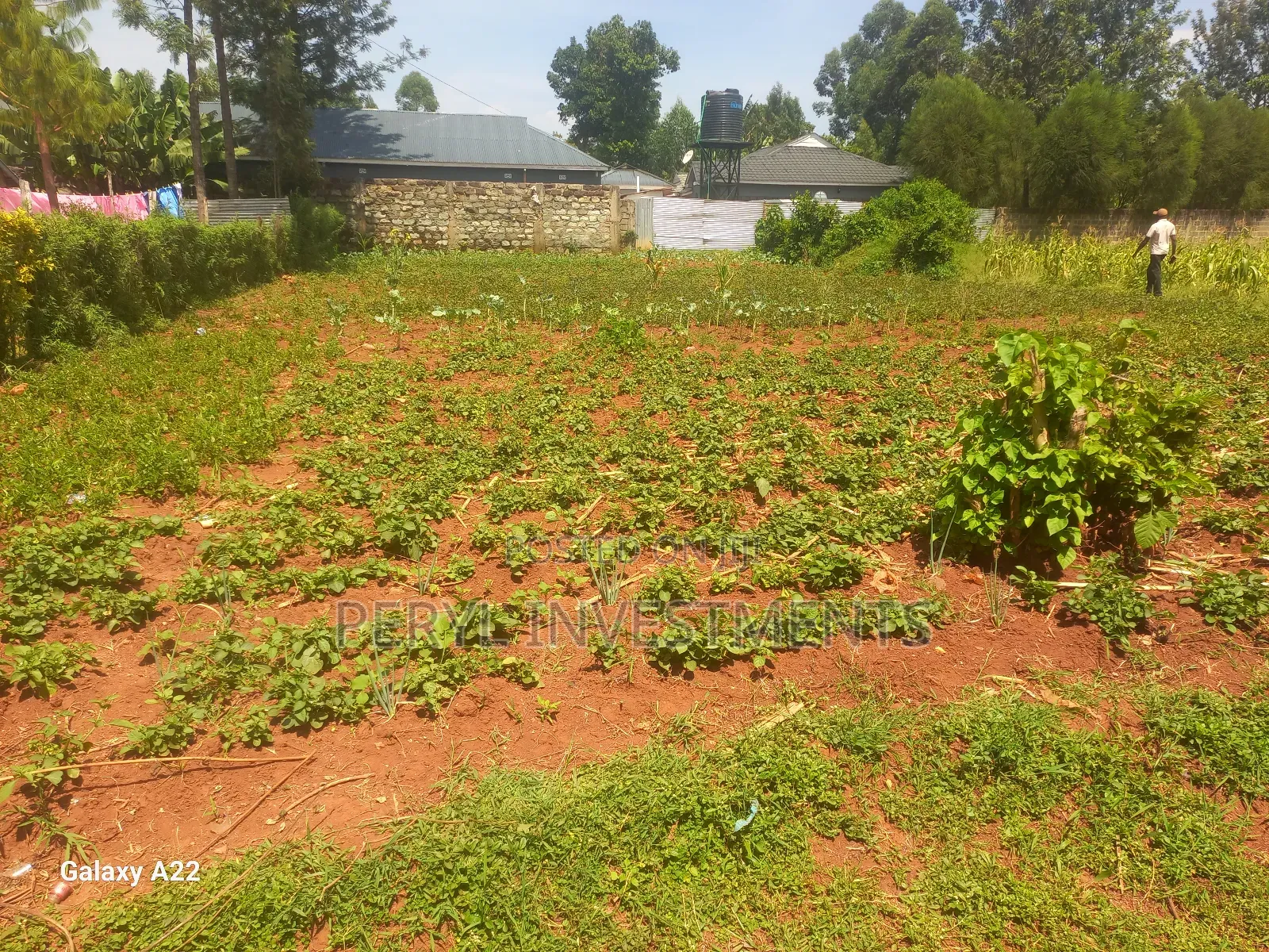 Plot for Sale in Kakamega