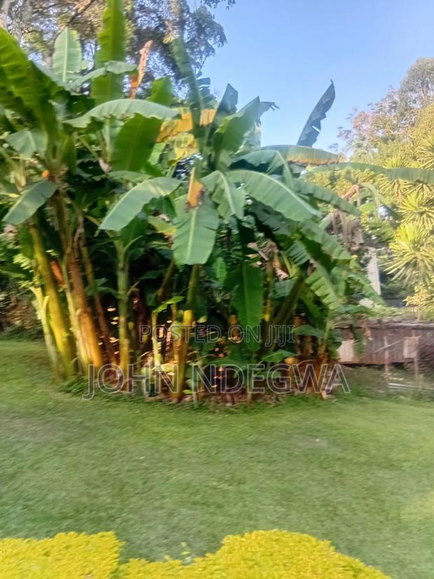 Prime Land Lavington - thumbnail 6