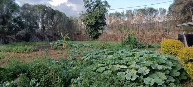 Prime Residential Plot for Sale Gilgil Teachers - thumbnail 5