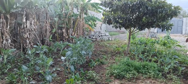 Prime Residential Plot for Sale Gilgil Teachers - thumbnail 6