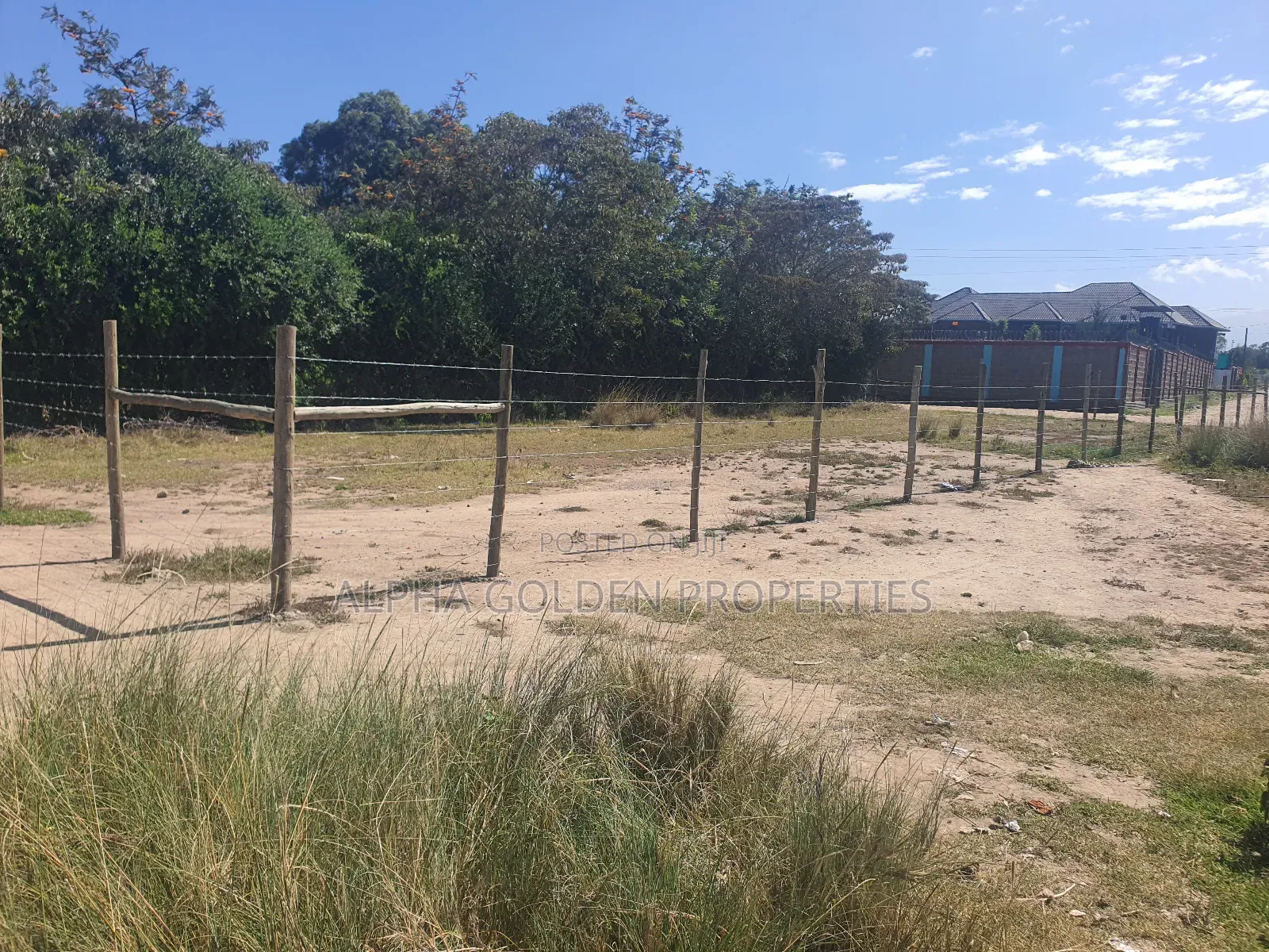 Quarter Plots in Nanyuki
