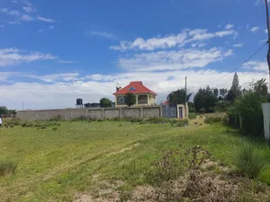 Nanyuki Airstrip Plots